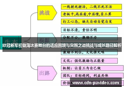 欧冠新军初登淘汰赛舞台的适应困境与突围之道挑战与成长路径解析